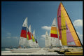 448073 Sailboats On The Beach At Clearwater A4 Photo Print