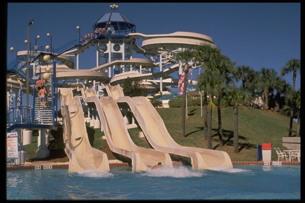 448093 Wet'n Wild, Orlando A4 Photo Print