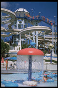 448095 Wet'n Wild, Orlando A4 Photo Print