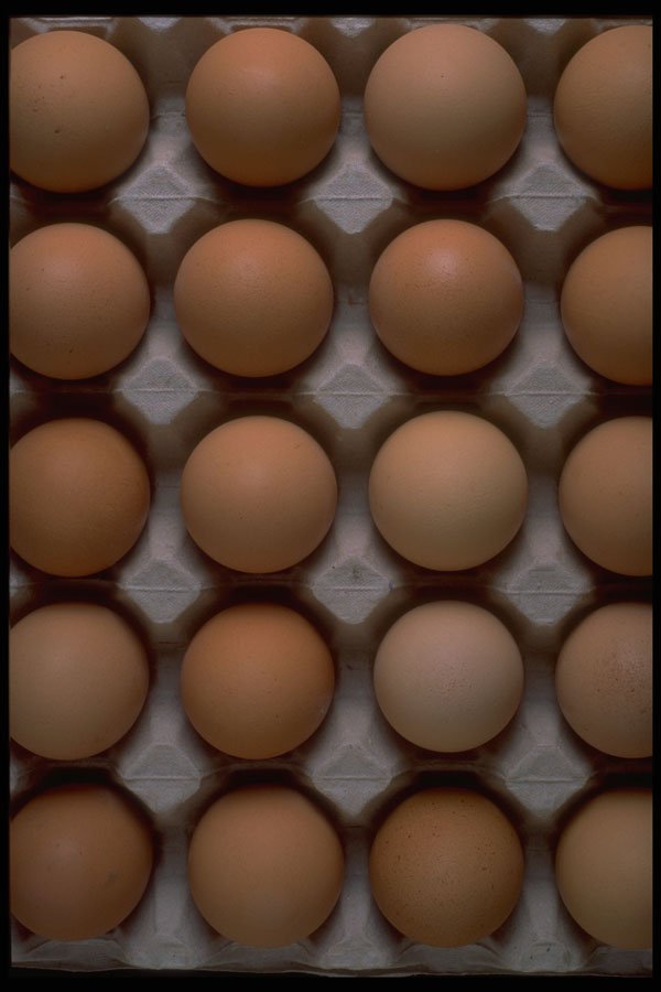 449000 Eggs A4 Photo Print