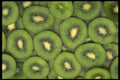 449003 Kiwi Fruit A4 Photo Print