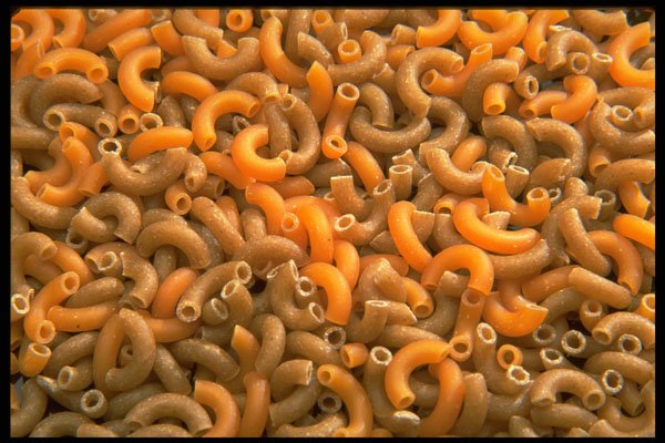 449006 Macaroni A4 Photo Print