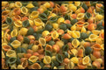 449007 Vegetable Shells A4 Photo Print