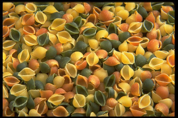 449007 Vegetable Shells A4 Photo Print