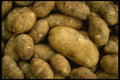 449016 Potatoes A4 Photo Print