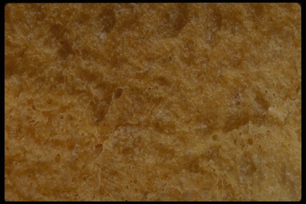 449018 Home made Bread A4 Photo Print