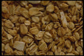449019 Granola A4 Photo Print