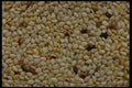 449020 Sesame Seeds A4 Photo Print