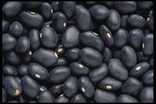 449024 Black Beans A4 Photo Print
