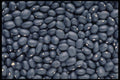 449025 Black Beans A4 Photo Print