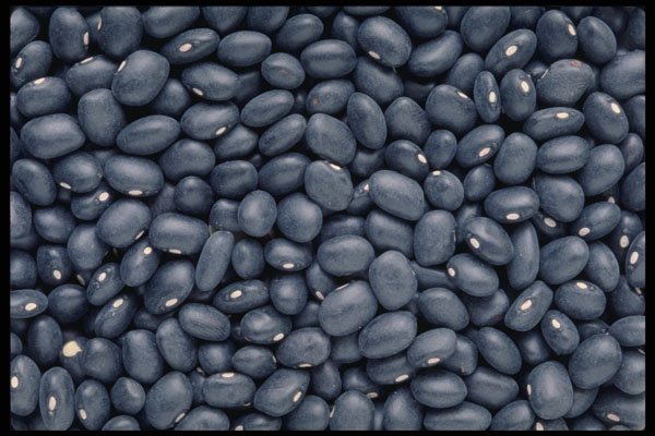 449025 Black Beans A4 Photo Print