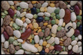 449027 Mixed Beans A4 Photo Print