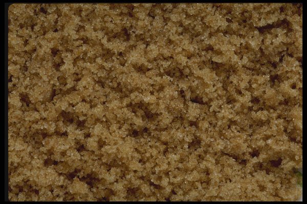 449029 Brown Sugar A4 Photo Print