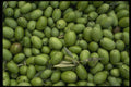 449031 Olives A4 Photo Print