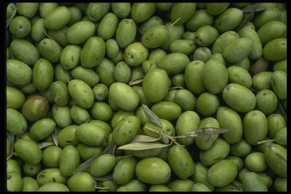 449031 Olives A4 Photo Print