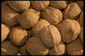 449034 Walnuts A4 Photo Print