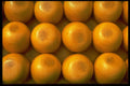 449035 Alkmaar Cheeses A4 Photo Print