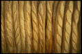 449036 Baguettes A4 Photo Print