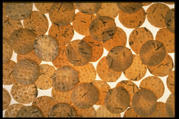 449040 Rice Crackers A4 Photo Print