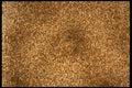 449041 Short Grain Brown Rice A4 Photo Print