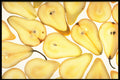 449044 Pears A4 Photo Print