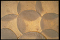 449050 Tortilla Shells A4 Photo Print