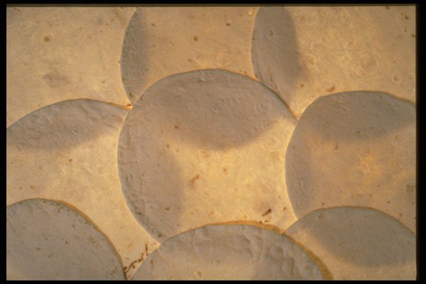 449050 Tortilla Shells A4 Photo Print