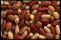 449054 Soup Beans A4 Photo Print