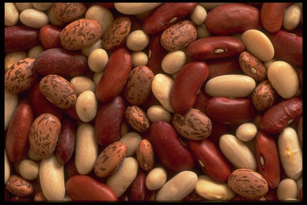 449054 Soup Beans A4 Photo Print