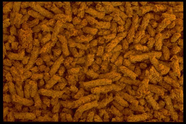 449055 Wheat Bran A4 Photo Print