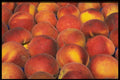 449061 Peaches A4 Photo Print