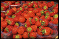 449062 Strawberries A4 Photo Print