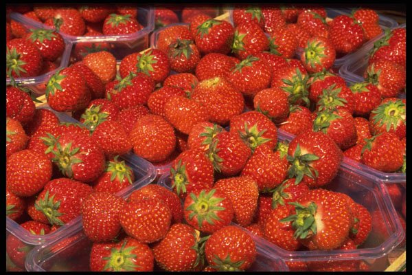 449062 Strawberries A4 Photo Print