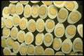 449064 Decoration With Halved Hard boiled Eggs A4 Photo Print