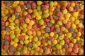 449070 Kid's Cereal A4 Photo Print