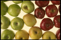 449073 Apples A4 Photo Print