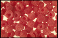 449074 Raspberries A4 Photo Print