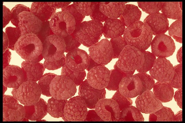 449074 Raspberries A4 Photo Print