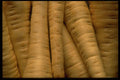 449081 Parsnips A4 Photo Print