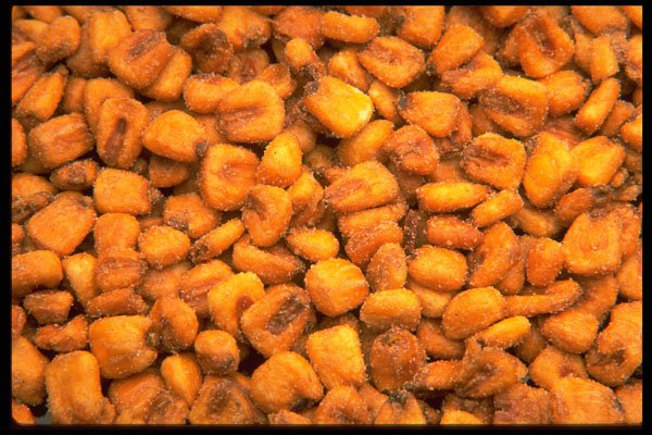 449085 Toasted Corn A4 Photo Print