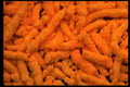 449088 Cheese Crunchies A4 Photo Print