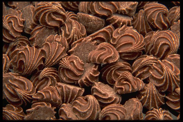 449090 Chocolate Rosebuds A4 Photo Print
