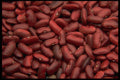 449097 Kidney Beans A4 Photo Print