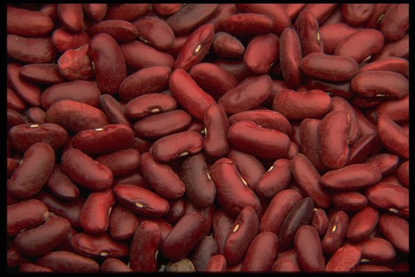 449097 Kidney Beans A4 Photo Print