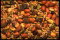 449099 Trail Mix A4 Photo Print