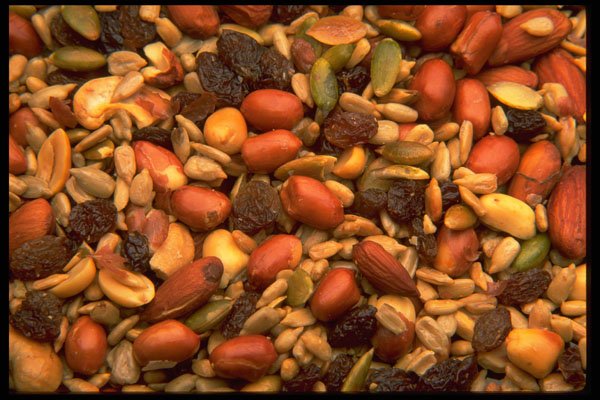 449099 Trail Mix A4 Photo Print
