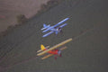 450002 Brunner Winkle, Bird Biplane (foreground) A4 Photo Print