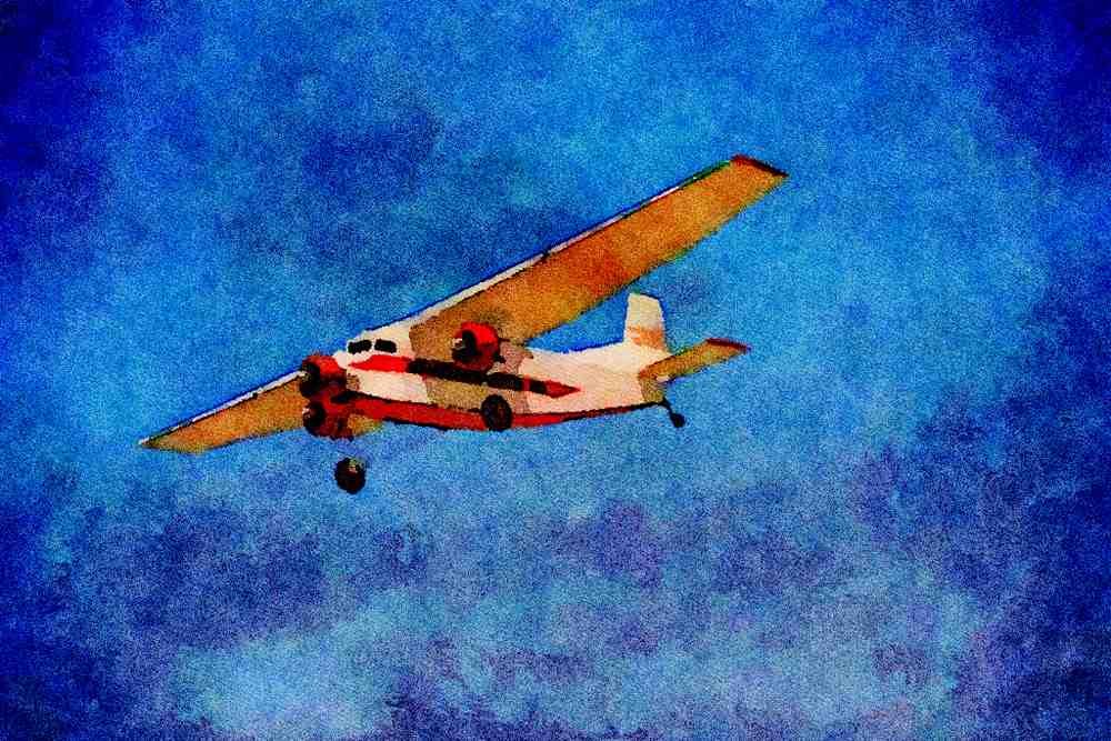 450032 Bushmaster, 2000, 1985, Wastonville, California A4 Limited Edition Watercolour Print