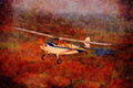 450036 Aeronca, 7ac Champ, 1946, Warrensburg, Missouri A4 Limited Edition Watercolour Print