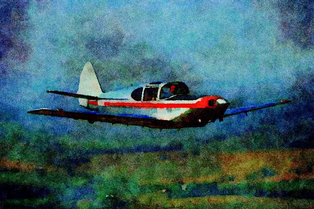 450044 Globe, Swift, 1946, Slator, Missouri A4 Limited Edition Watercolour Print